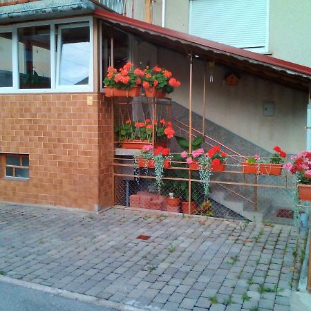 Apartment Janja Vojnik Экстерьер фото