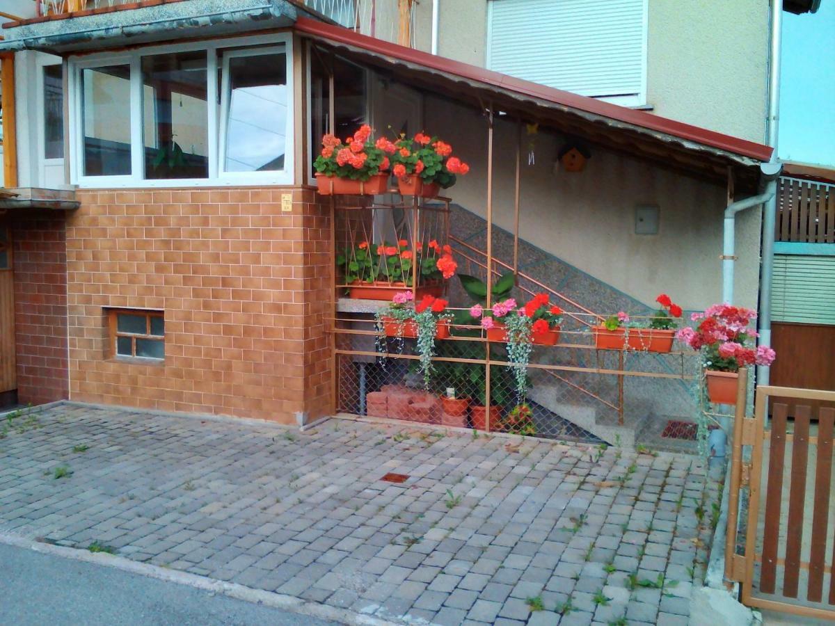 Apartment Janja Vojnik Экстерьер фото