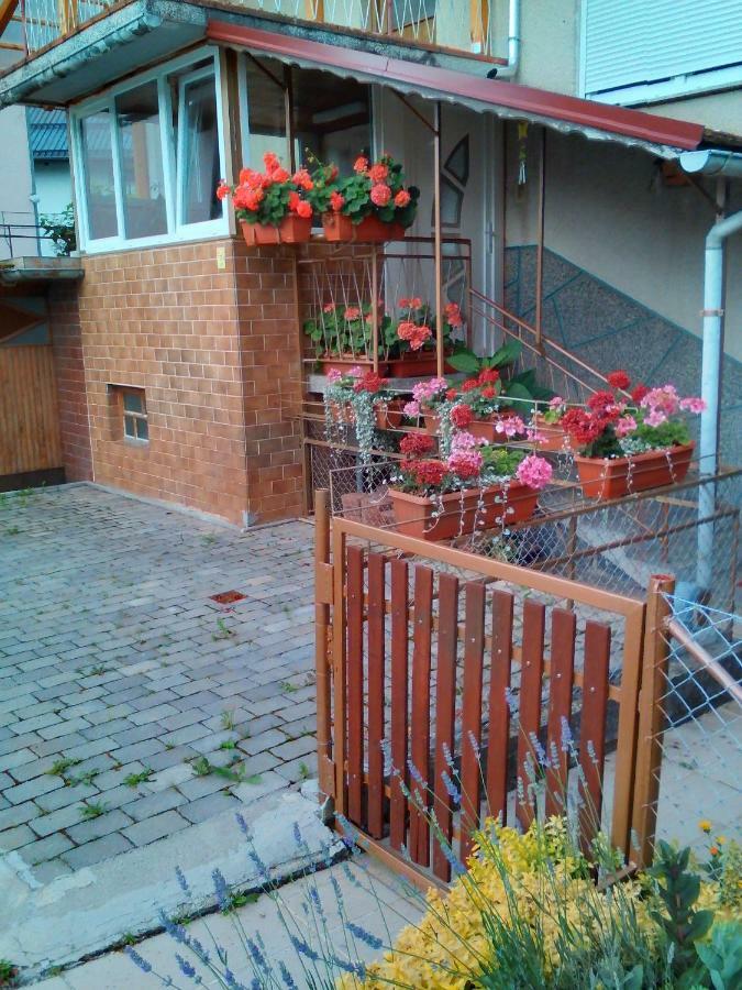 Apartment Janja Vojnik Экстерьер фото