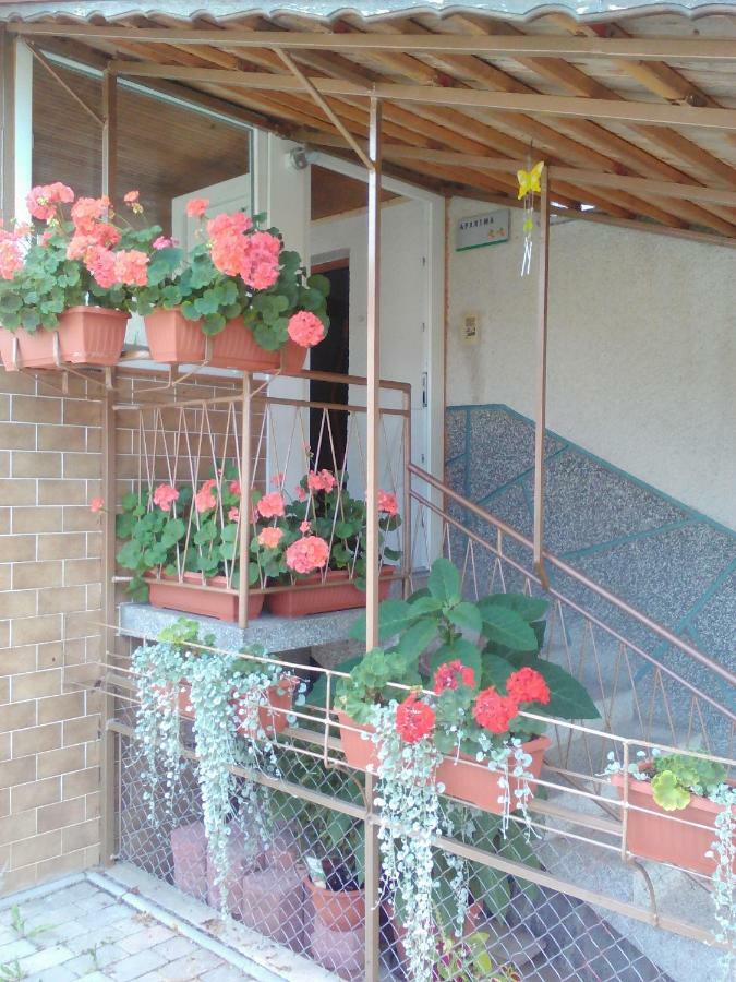 Apartment Janja Vojnik Экстерьер фото