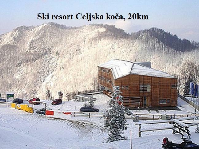 Apartment Janja Vojnik Экстерьер фото